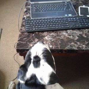 Meet your Posher, Haley